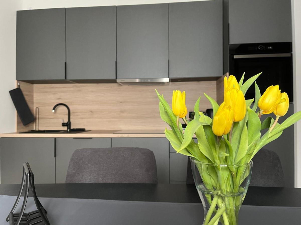 Apartment Kammi Ζάγκρεμπ Εξωτερικό φωτογραφία